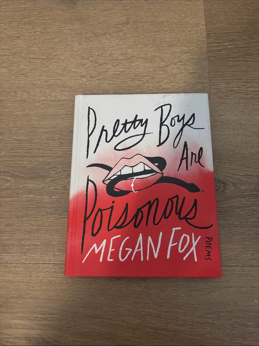 Pretty Boys Are Poisonous By Megan Fox